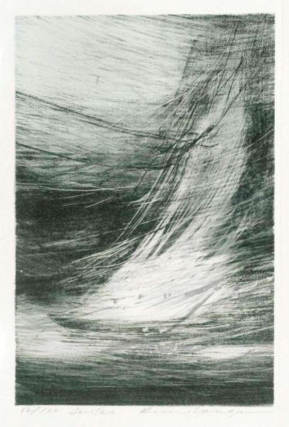 Seilas av Runi Langum