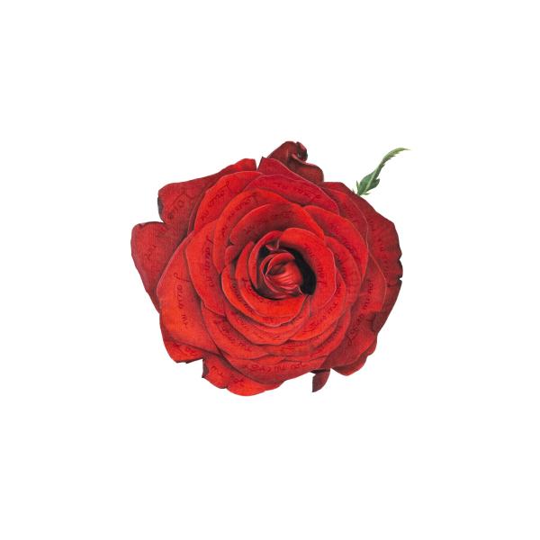 Loves me, loves me not av Kristoffer Ask Hansen