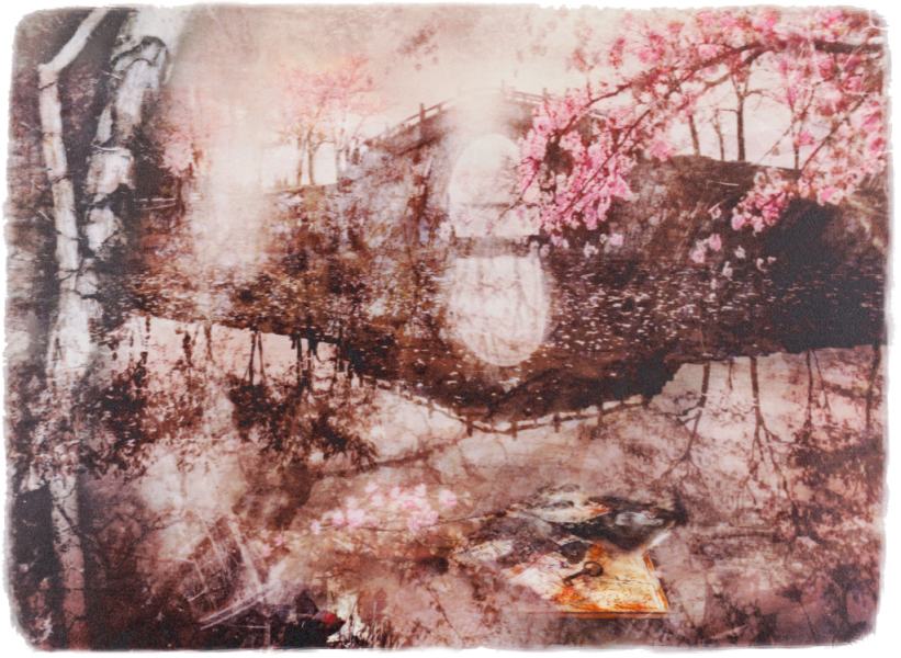 Alltid der for deg av Elisabeth Werp