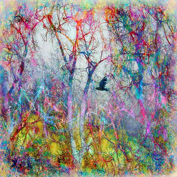 Magical forest av Liz Ravn