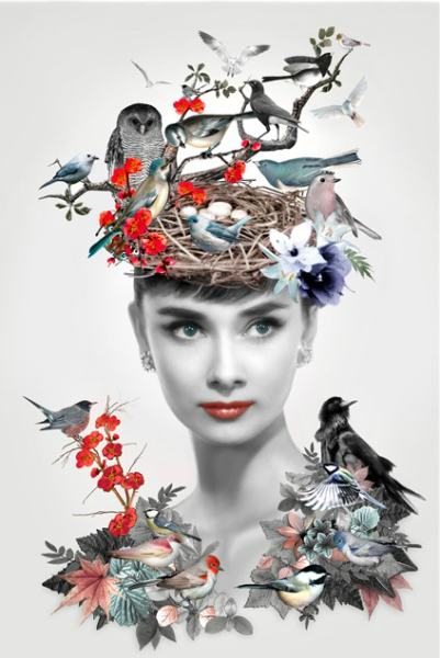 Fuglekvinnen av Liz Ravn