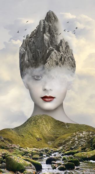 Fjellriket av Liz Ravn