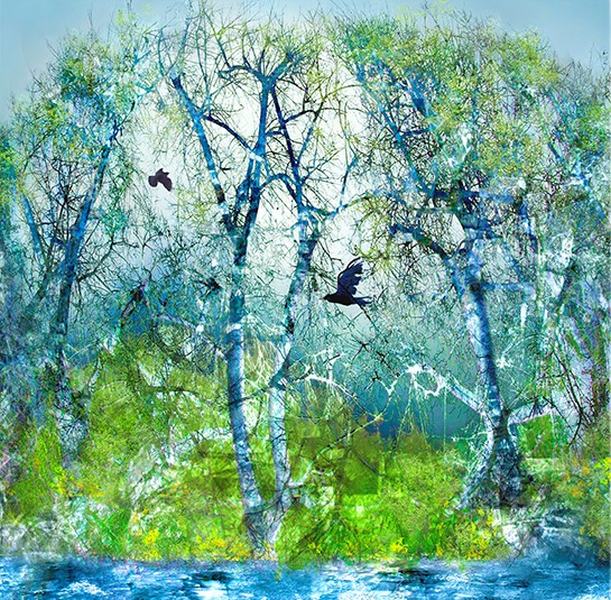 Forest of spring av Liz Ravn