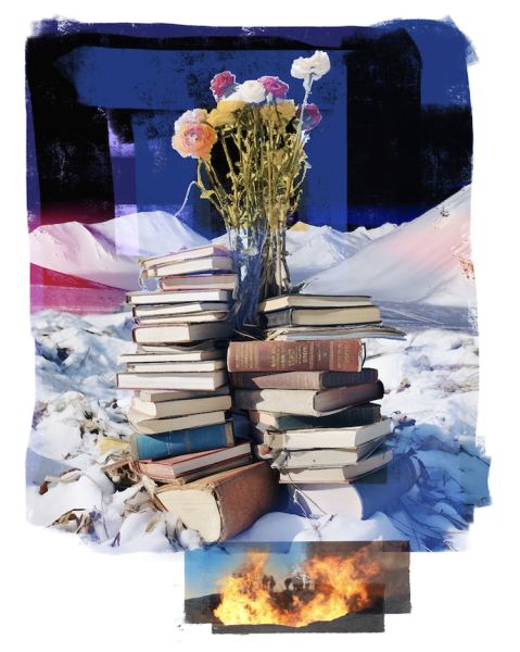 Books / Svalbard 08 24 av Per Fronth