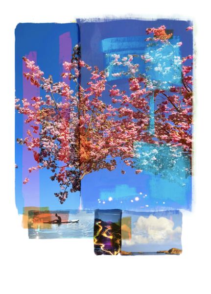 Bloom 14 23 av Per Fronth