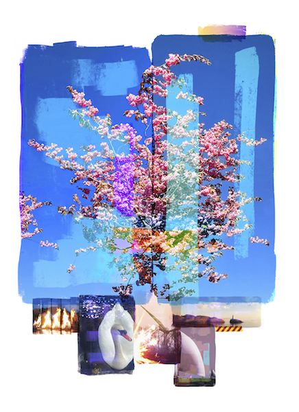 Bloom / Swan / Ver IV 12 21 av Per Fronth